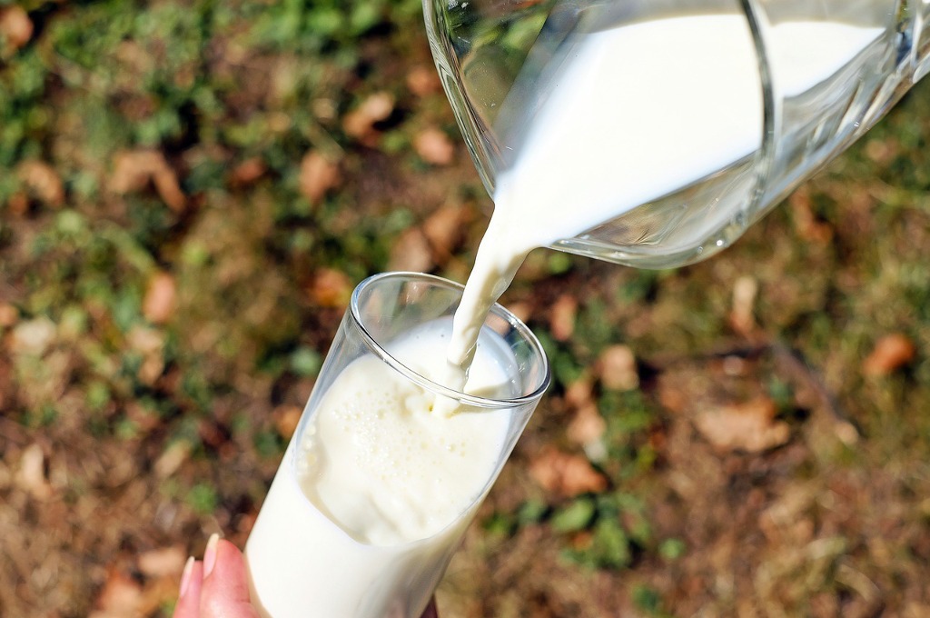 Milk production in Paraguay